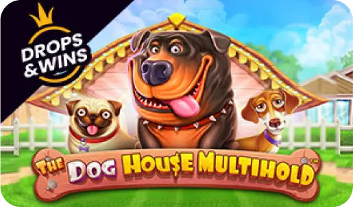 Igra Dog House Multihold pri Megapari